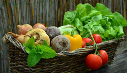 Quels légumes manger chaque saison?