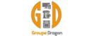 Groupe dragon logo de marque des critiques des Services pour la maison