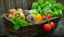 Savoir comment adapter son alimentation à ses besoins
